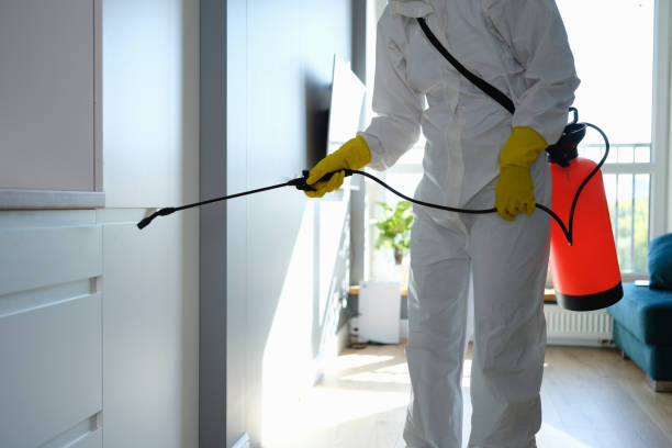 Best Attic Mold Remediation in Muscoda, WI
