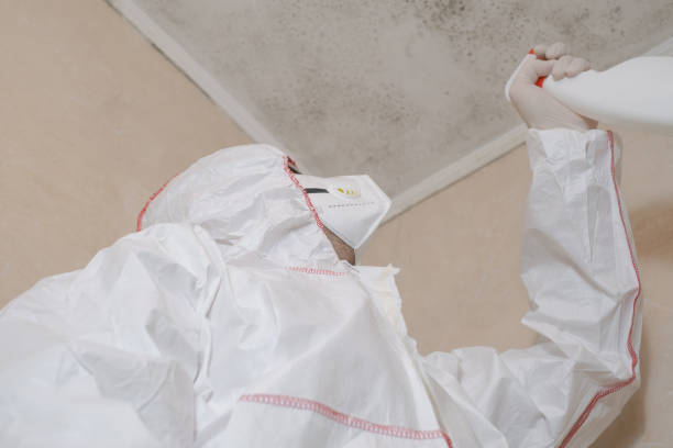 Best DIY Mold Remediation Support Services in Muscoda, WI