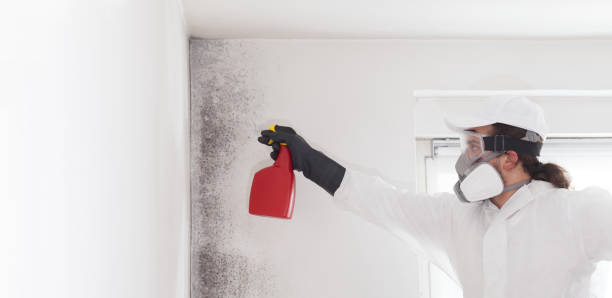 Best Residential Mold Remediation in Muscoda, WI